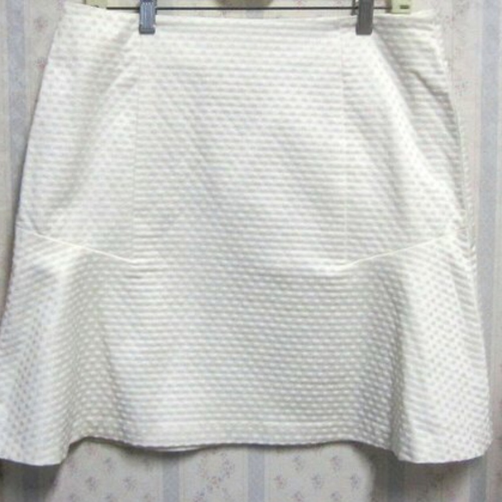 NWT Ann Taylor Sz 0 White Dotted Skirt, A Line
